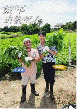 汉江之南完整版在线播放封面